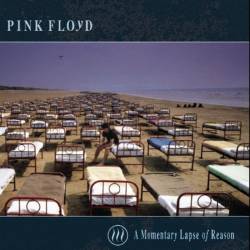 Pink Floyd : A Momentary Lapse of Reason